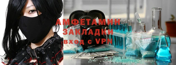 прущие грибы Новодвинск