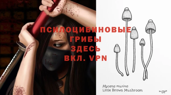 прущие грибы Новодвинск