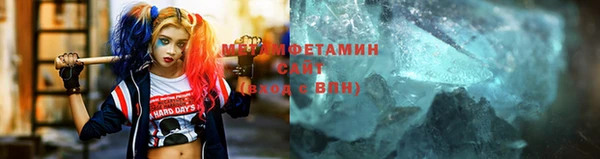 прущие грибы Новодвинск
