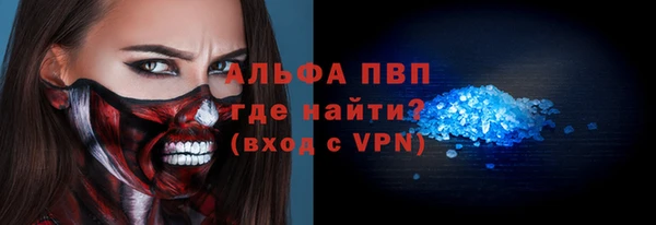 прущие грибы Новодвинск