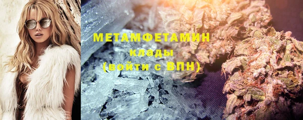прущие грибы Новодвинск