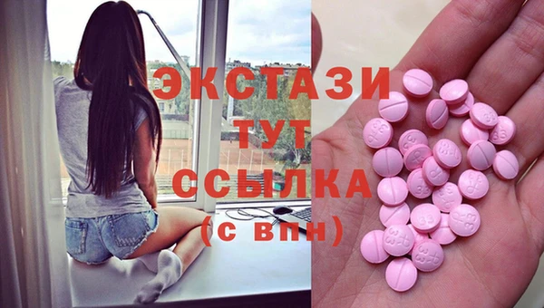 прущие грибы Новодвинск