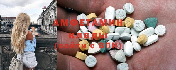прущие грибы Новодвинск