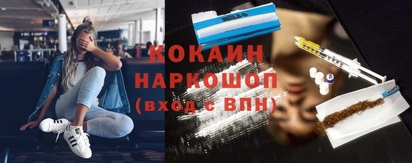 прущие грибы Новодвинск