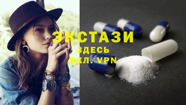 прущие грибы Новодвинск