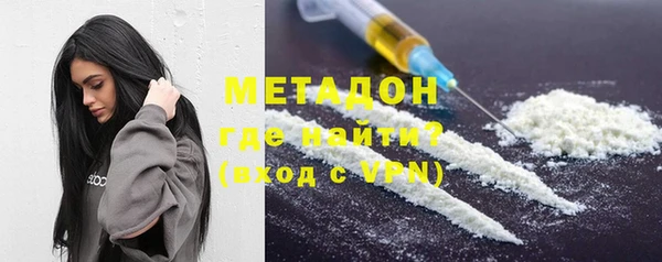 прущие грибы Новодвинск