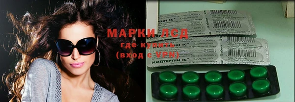прущие грибы Новодвинск