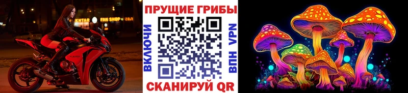 даркнет клад  Армянск  Галлюциногенные грибы Cubensis 